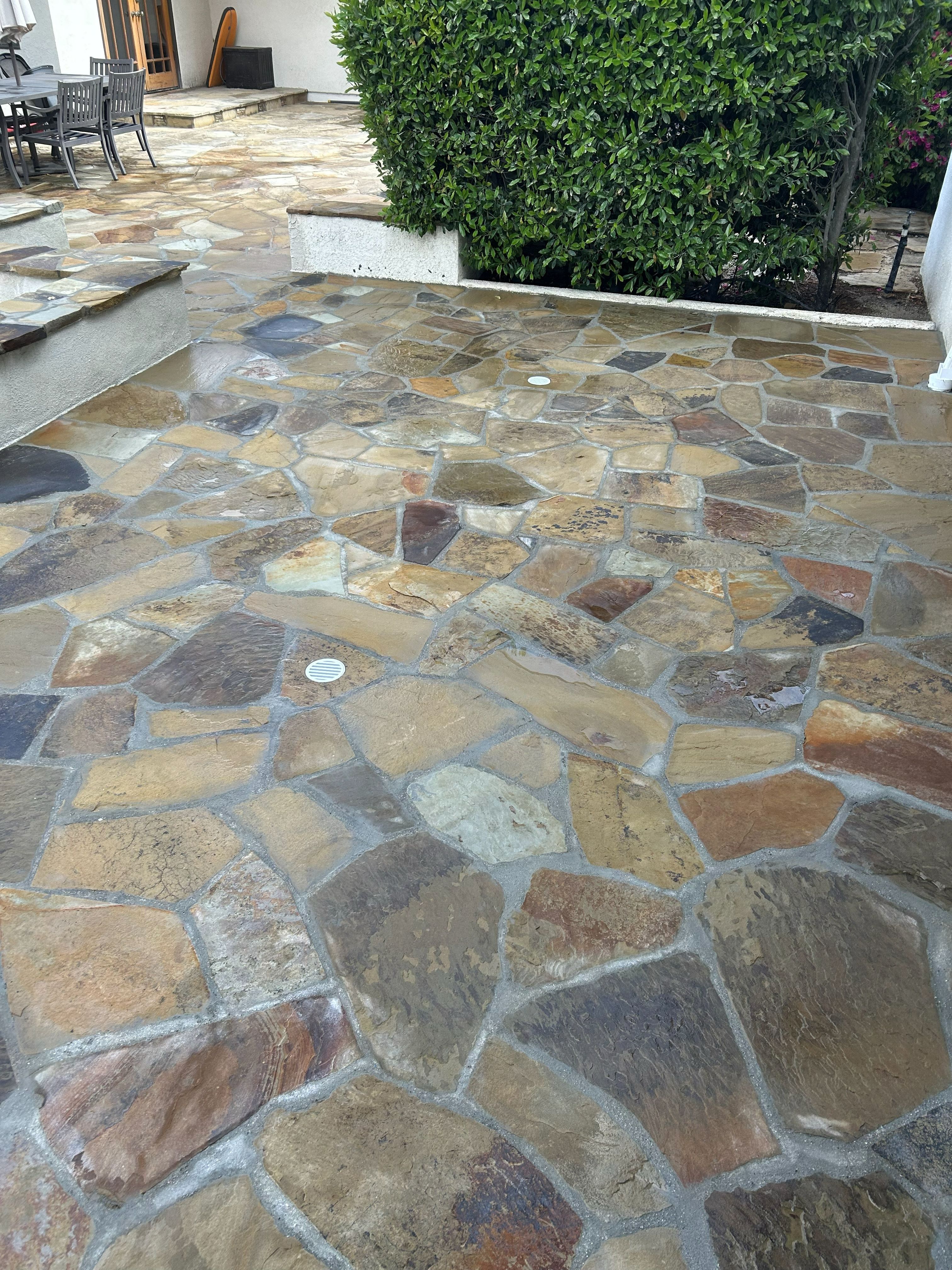 Irregular flagstone patio laid tight with fine mortar joints, running to a clipped hedge