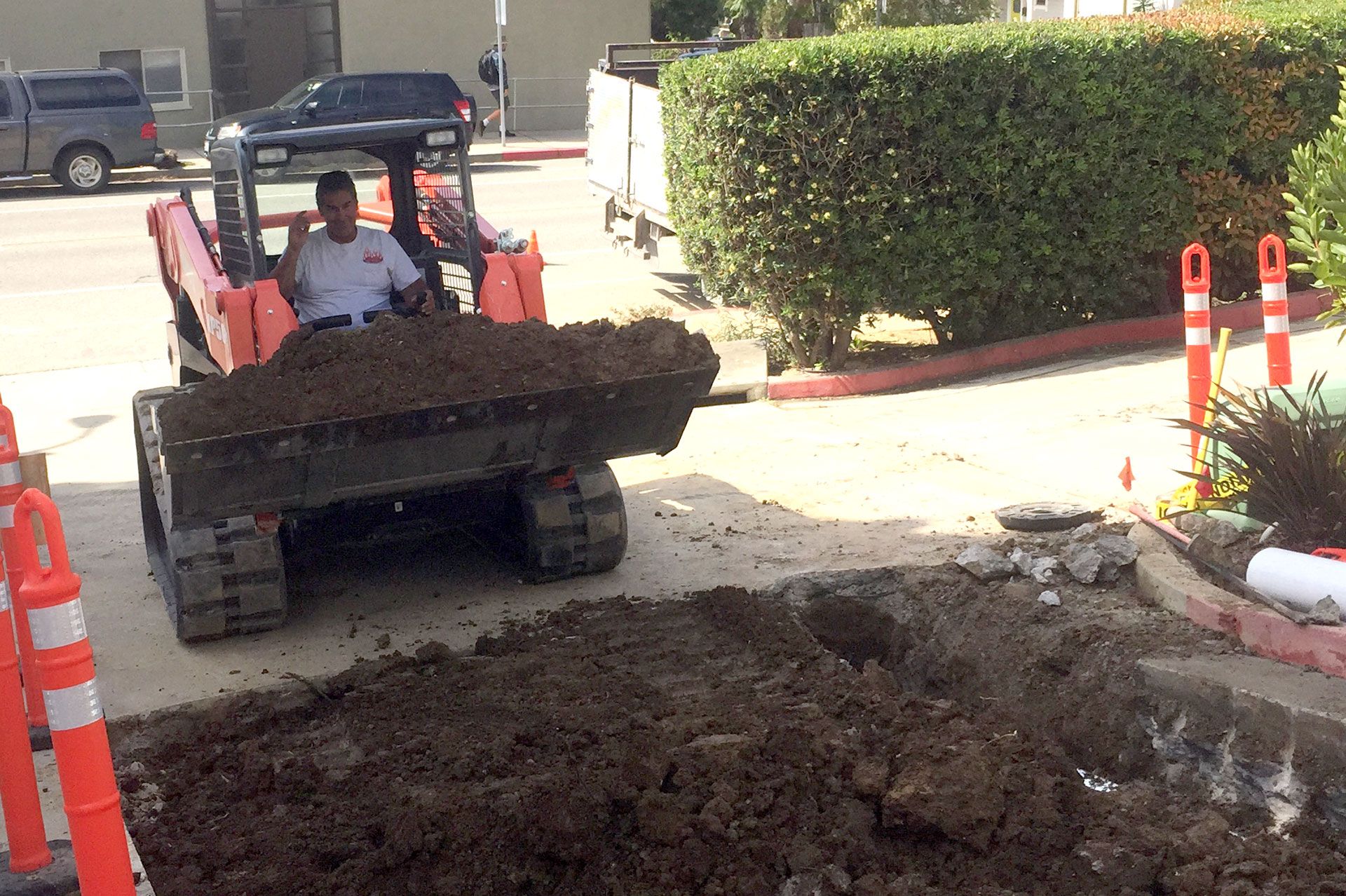 Track loader carrying spoil away from an open trench alongside a clipped hedge