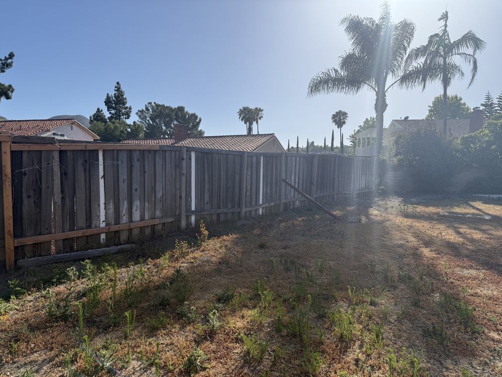 Bare dirt yard with an old wood fence and palms before work started
