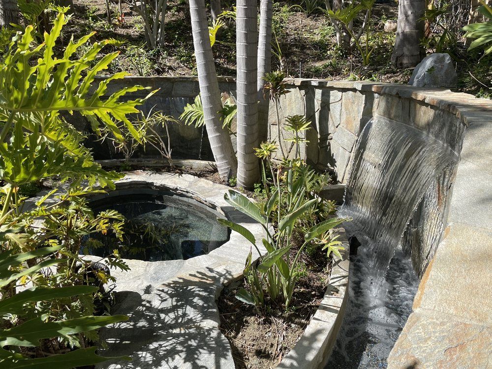 Landscaped water feature edged in stone with aquatic planting
